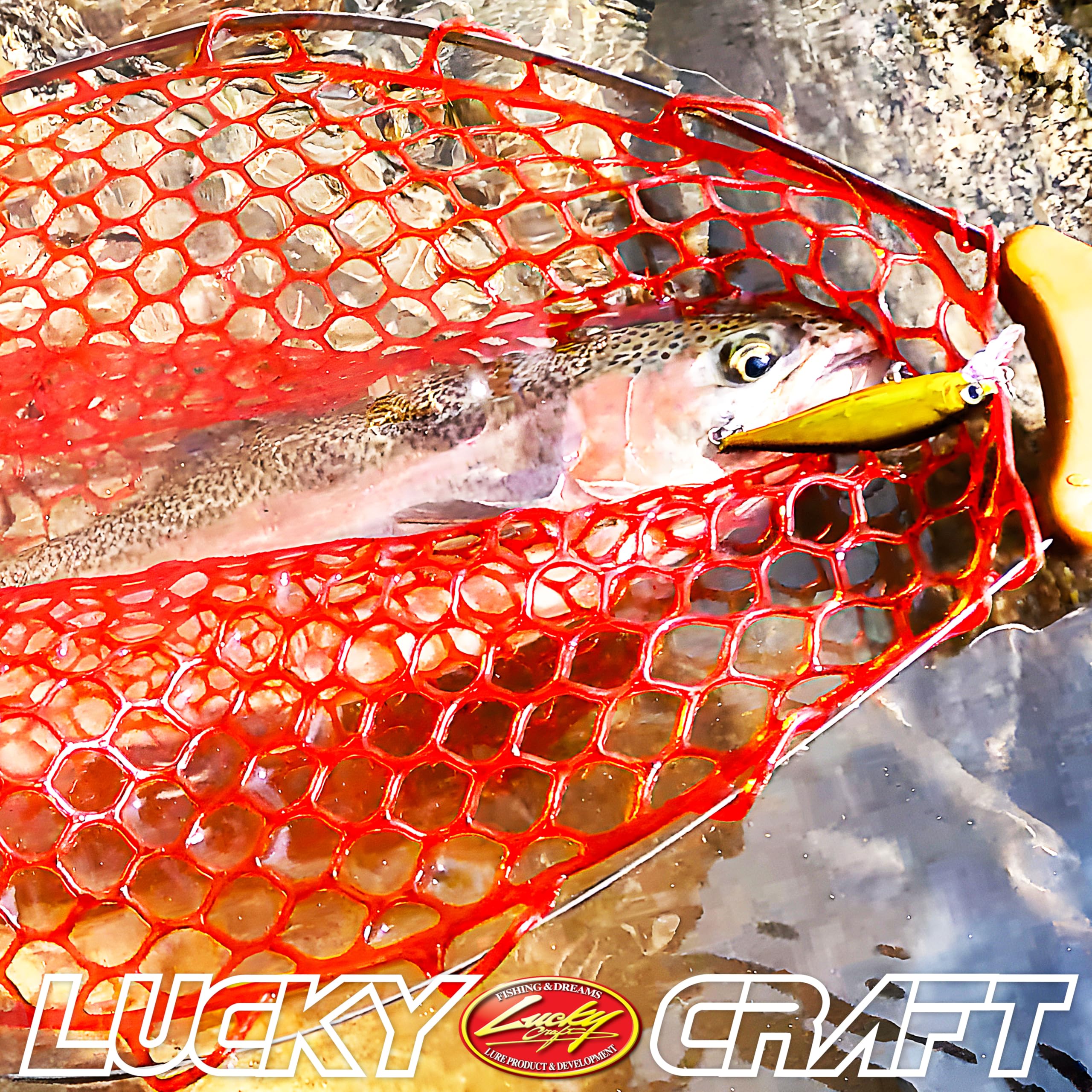 LUCKY CRAFT Pointer 65 SFT ~Single Hook Tune~, Trout Lure, Fishing